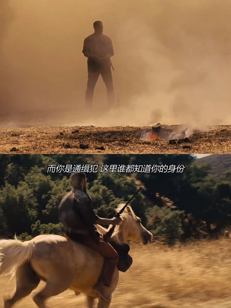 被解救的姜戈 电影-昆汀·塔伦蒂诺-西部片-黑奴解放