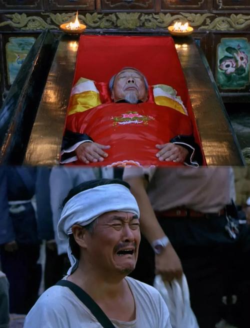 落叶归根电影下载-落叶归根-电影下载