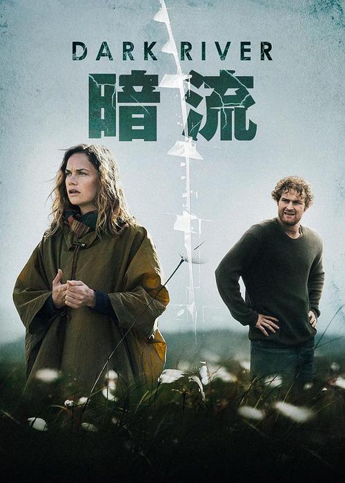 暗流电影-法国惊悚-剧情反转-暴力美学