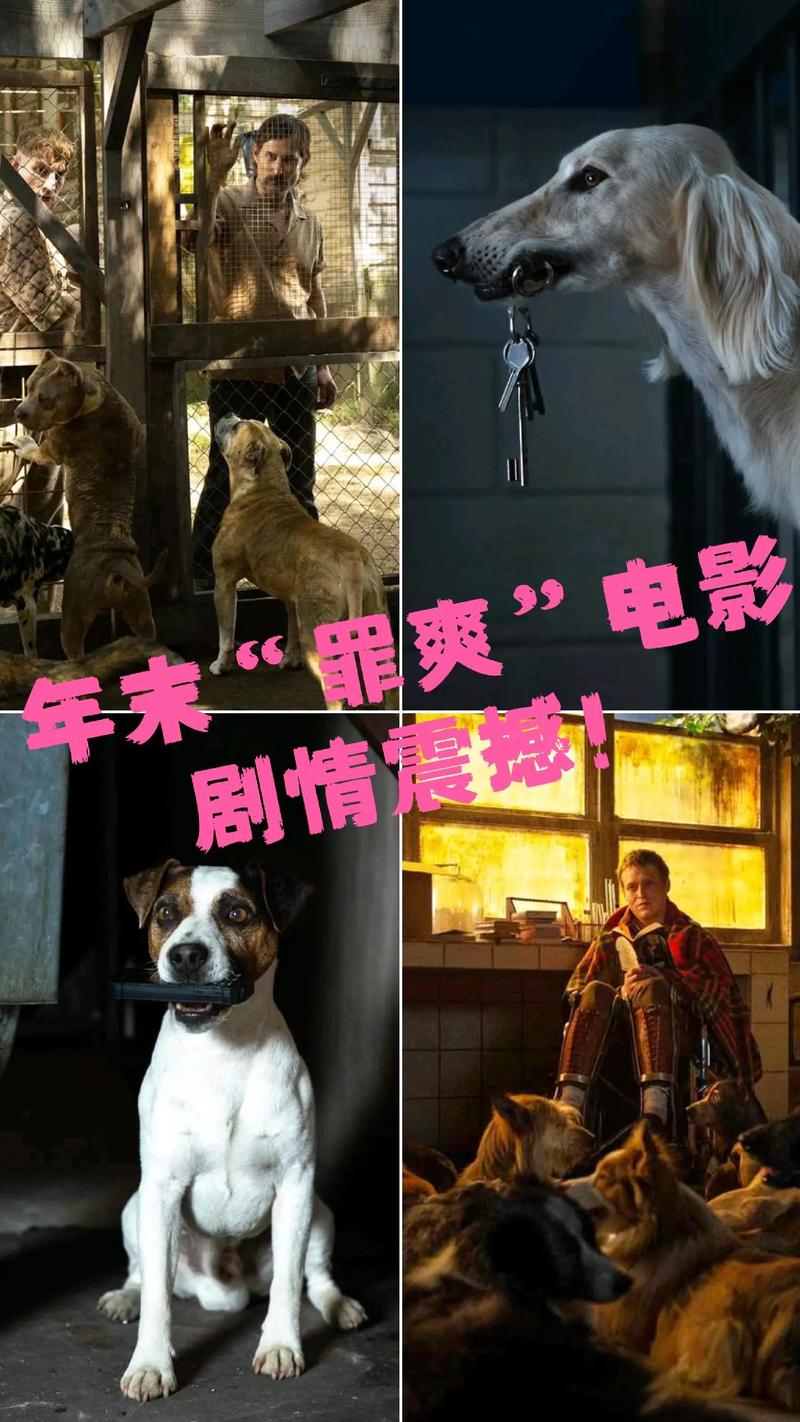 狗神电影-道格菲德-戛纳电影节
