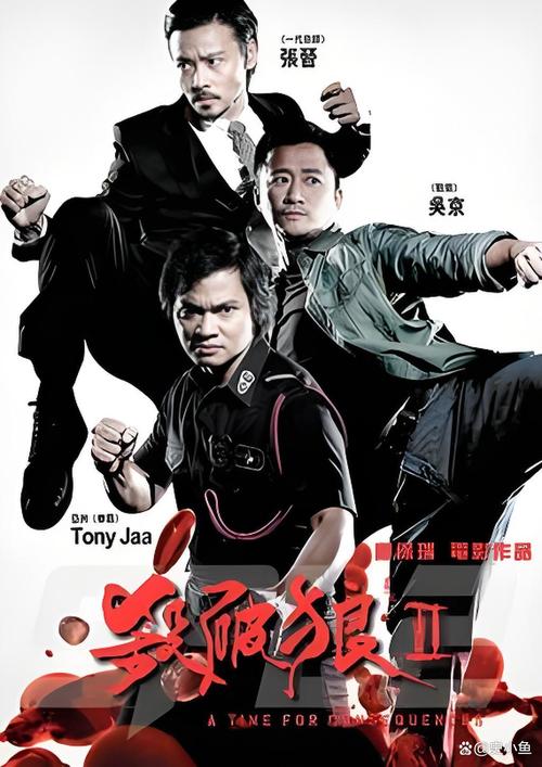 杀破狼电影-动作片-香港警匪