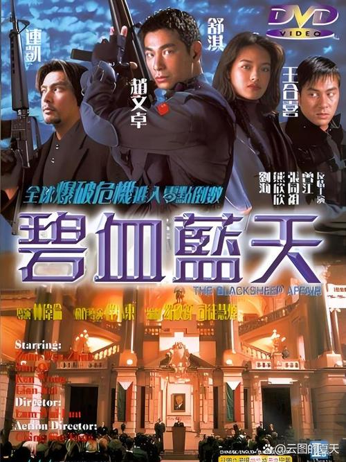 碧血蓝天电影-动作-犯罪-港片