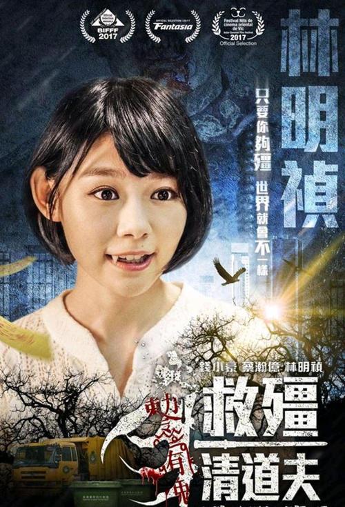 救僵清道夫 电影-僵尸道长-香港僵尸电影-林正英