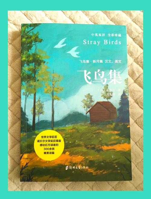 飞鸟电影-在线观看-最新电影