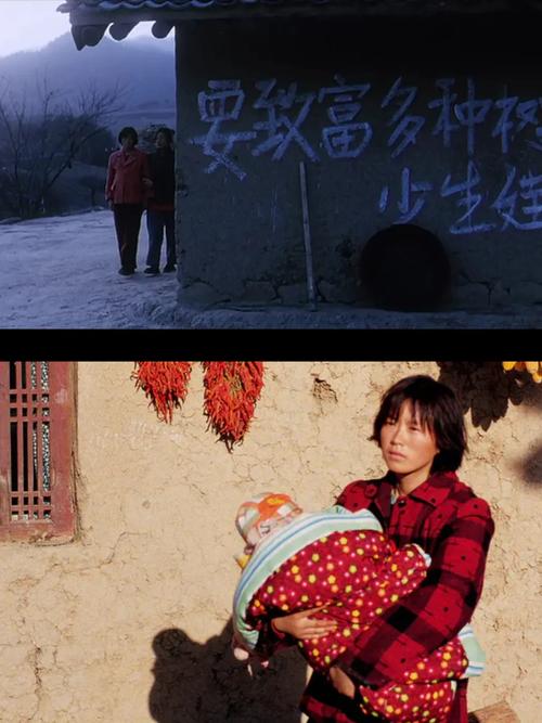 盲山电影-拐卖-妇女-农村