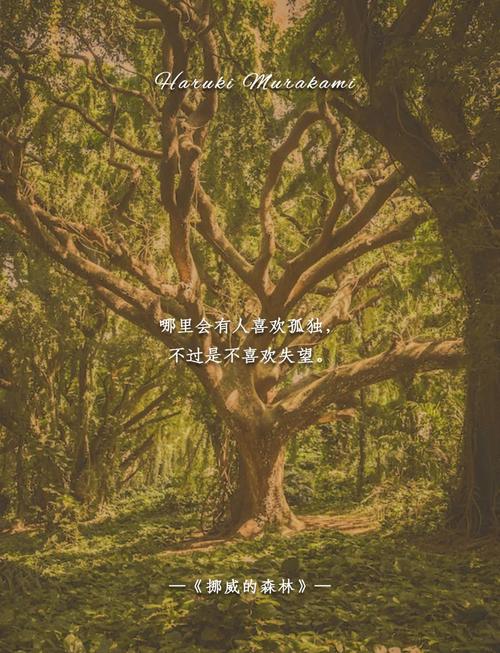 挪威的森林 电影-村上春树-渡边彻