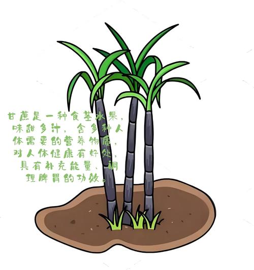 泰国电影红糖-采蜜人-丛林禁忌-欲望与恐惧