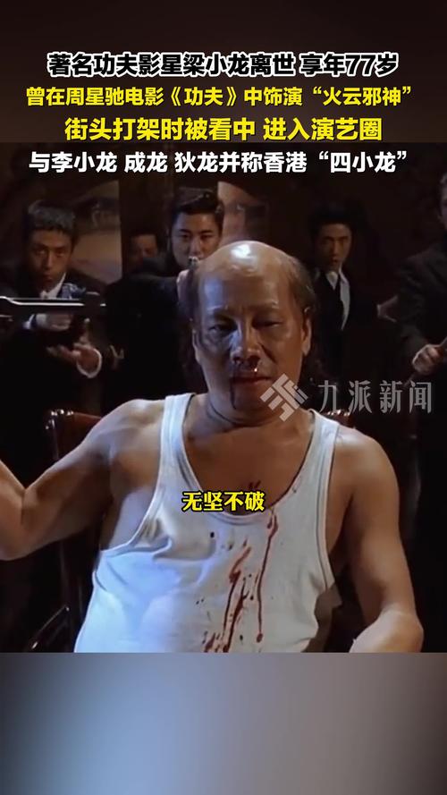 梁小龙电影全集-功夫片-陈真-动作演员