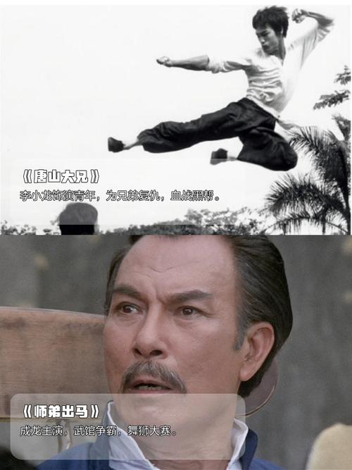 嘉禾电影-香港电影-功夫片