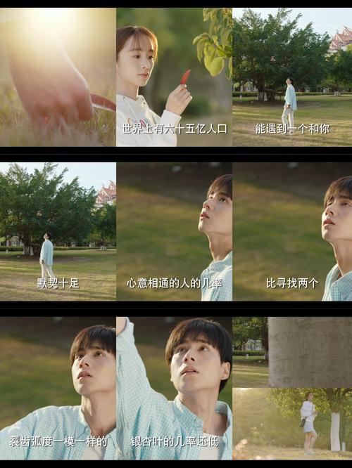 暗恋橘生淮南电影-暗恋-青春-振华三部曲