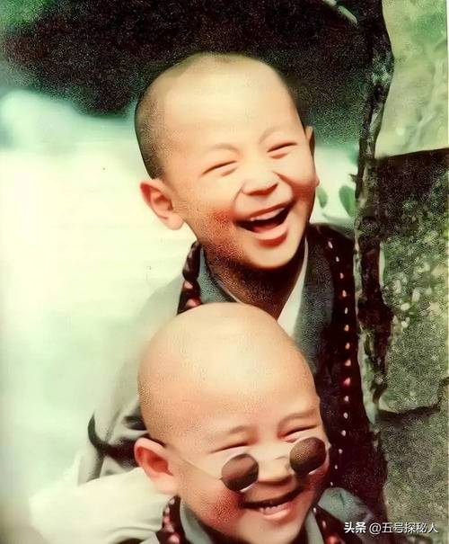 功夫小子电影-动作喜剧-少年武学-经典港片