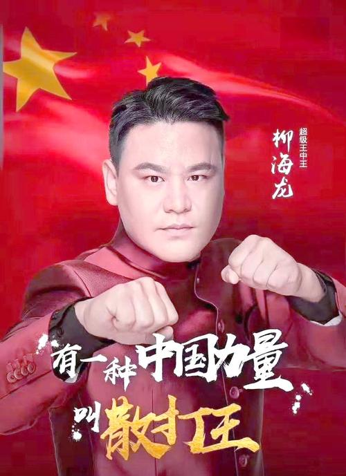 柳海龙电影-散打-武术-动作