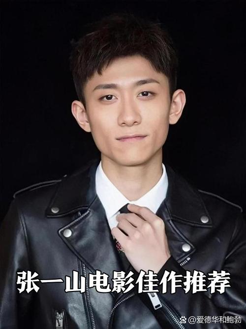 张一山电影-余罪-柒个我-家有儿女
