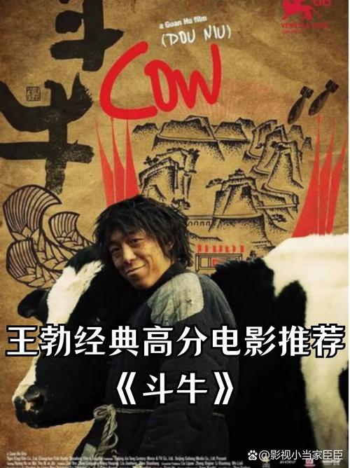斗牛 电影-黄渤-抗日战争