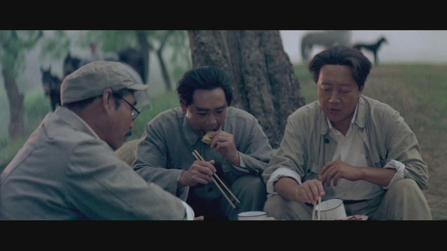 巍巍昆仑电影-解放战争-中共中央-转战陕北