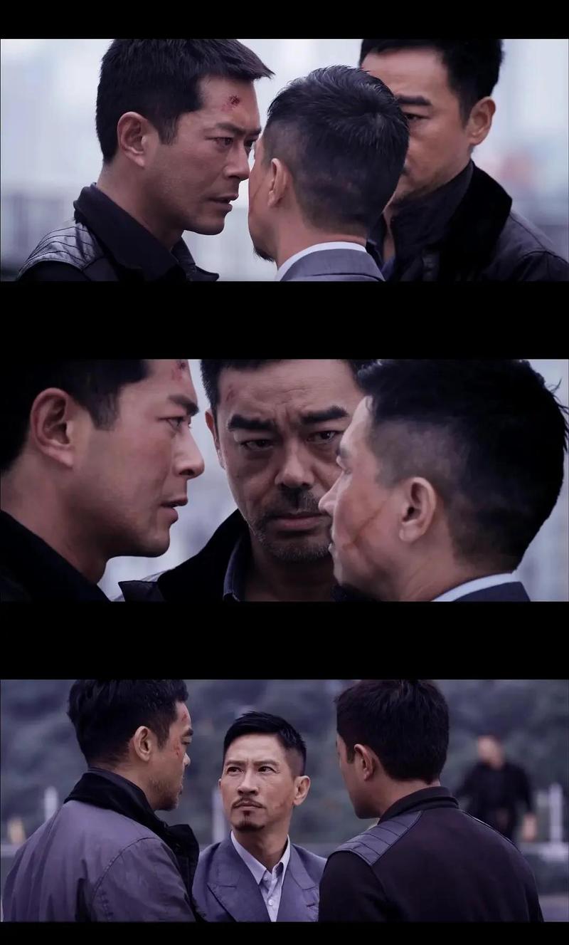 刘青云电影-无间道-窃听风云-神探