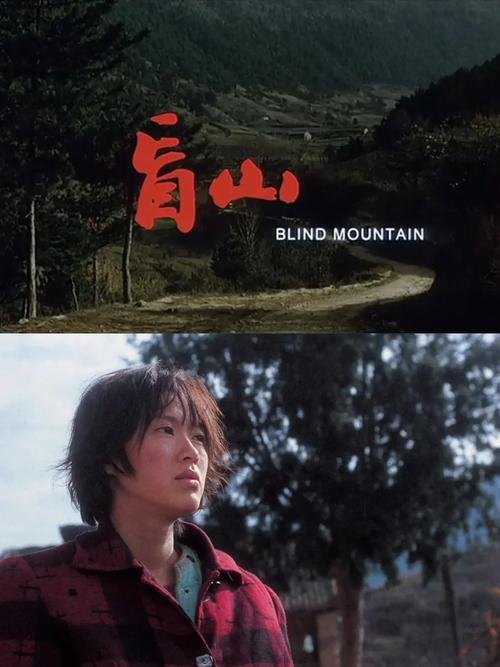 盲山电影-拐卖-妇女-农村