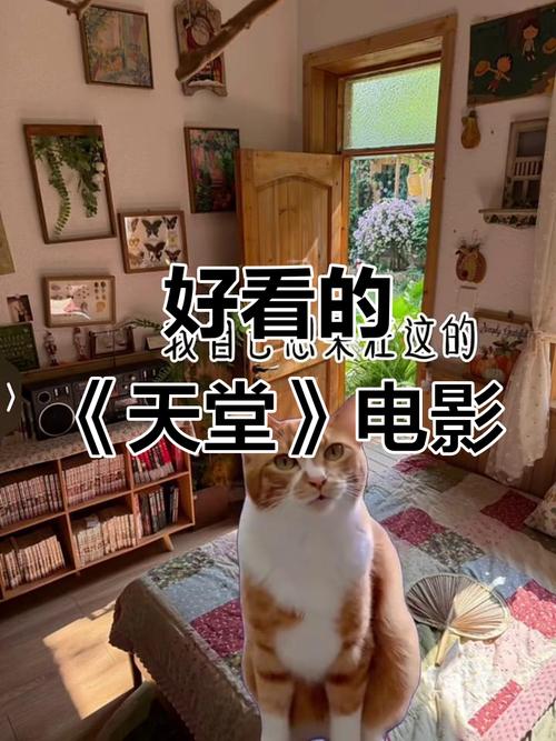 电影天堂-迅雷-电影下载-迅雷资源