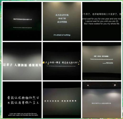 电影字幕-字幕翻译-字幕格式