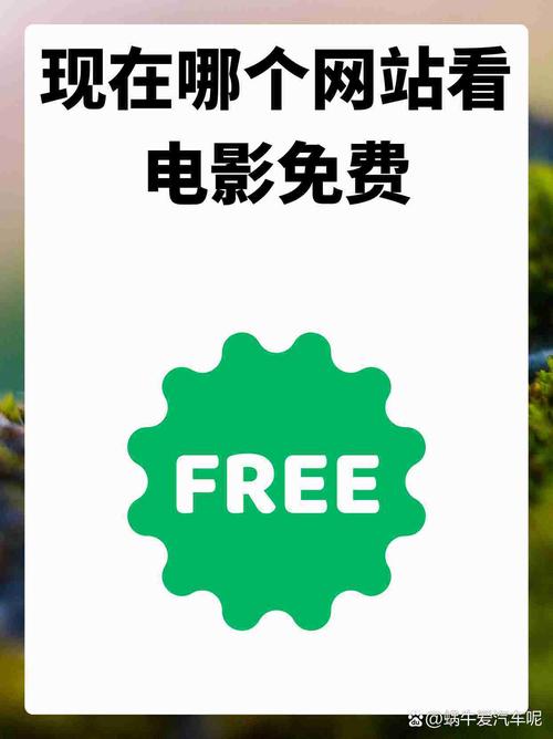 y80s手机电影网-手机电影网-y80s电影网