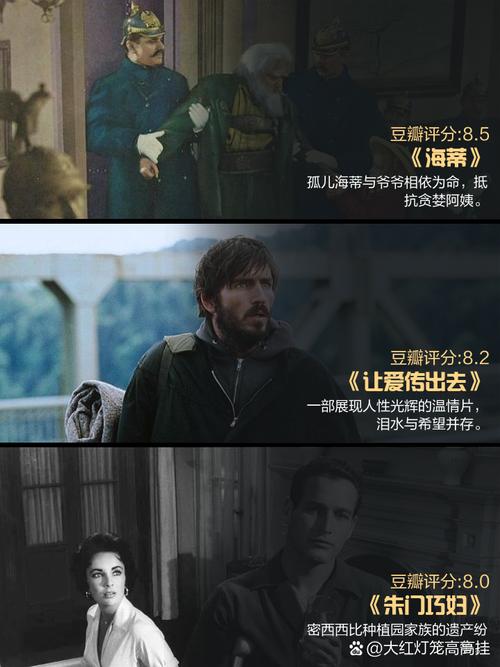 美国电影网-IMDb-烂番茄