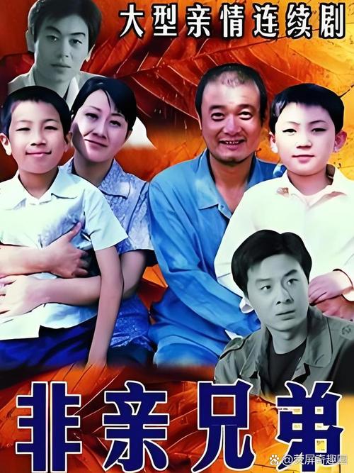非亲兄弟电影-家庭关系-身份错位