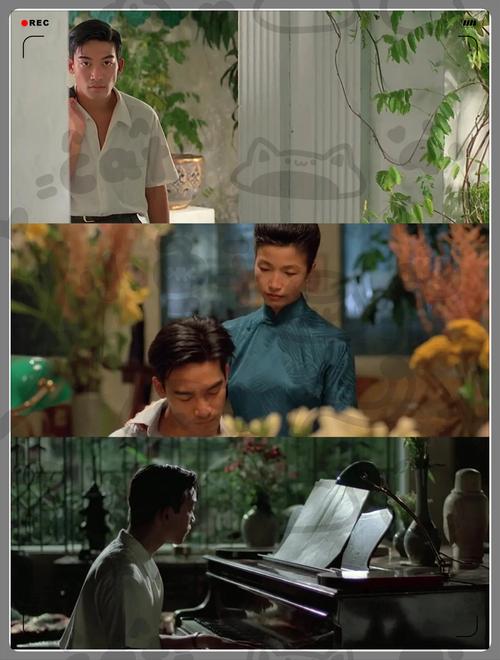 纯净电影-无广告观影-高清影视