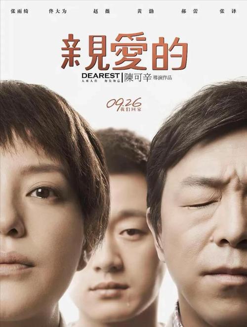 亲爱的电影-打拐-寻子-真实事件改编