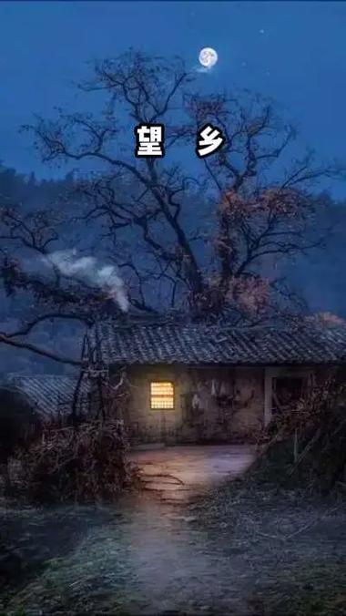 望乡 电影-日本电影-女性命运-反战