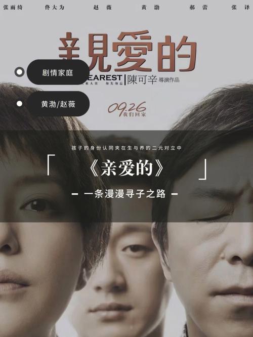 亲爱的 电影下载-打拐-寻子-陈可辛