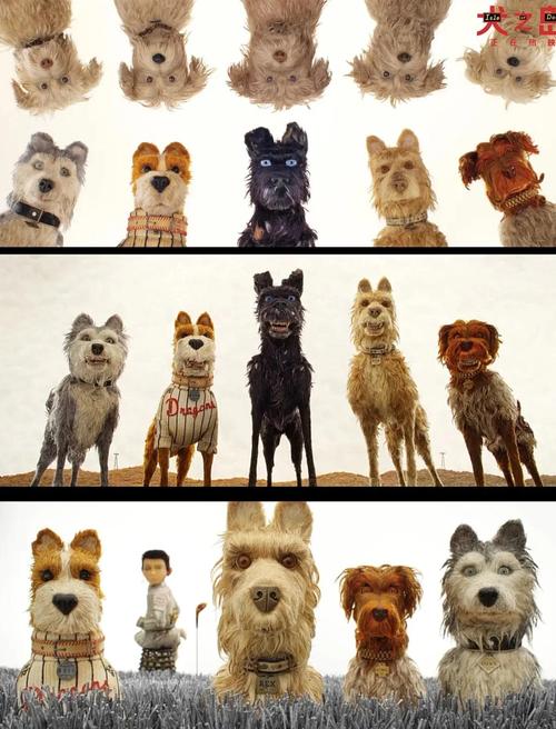 狗电影-忠犬八公-导盲犬小Q-灵犬莱西