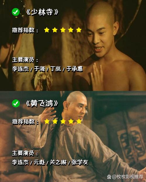 李连杰所有电影-功夫皇帝-黄飞鸿-中南海保镖