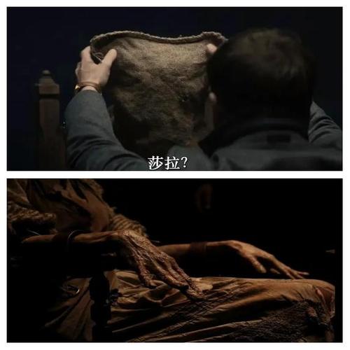 欧美最新电影-新片上映-2025年电影-票房排行榜
